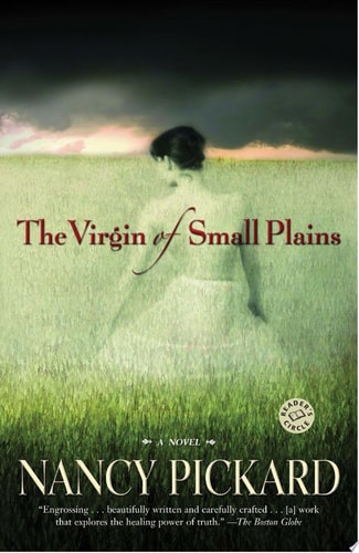 The Virgin of Small Plains: A Novel