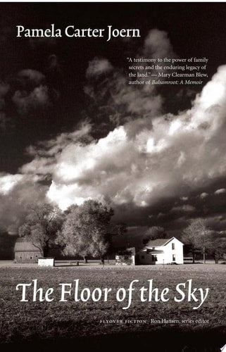 The Floor of the Sky (Flyover Fiction)