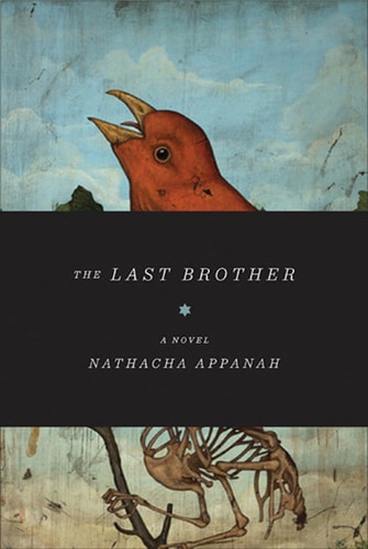 The Last Brother: A Novel (Lannan Translation Selection (Graywolf Paperback))