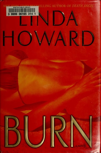 Burn: A Novel