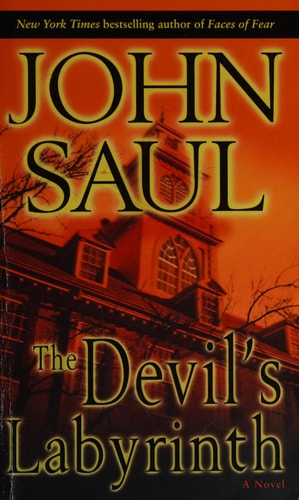 The Devil's Labyrinth (Center Point Platinum Mystery (Large Print))