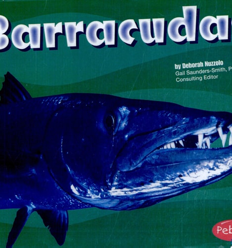 Barracudas (Under the Sea)