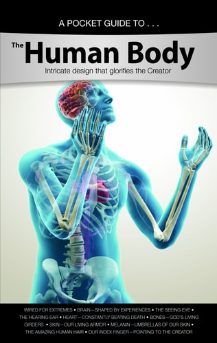 The Human Body: Intricate design that glorifies the Creator