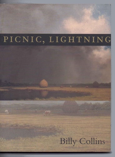 Picnic, Lightning