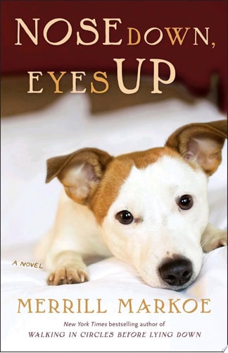 Nose Down, Eyes Up: A Novel