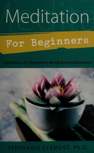 Meditation for Beginners: Techniques for Awareness, Mindfulness & Relaxation (Llewellyn's For Beginners, 13)