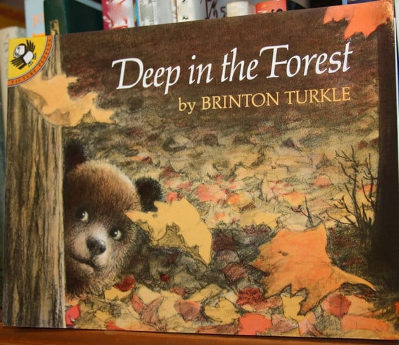 Deep in the Forest (Picture Puffins)