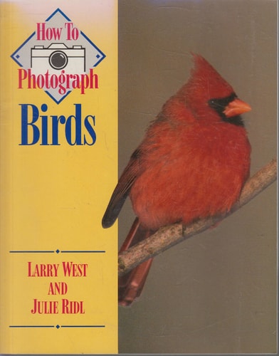 How to Photograph Birds (How To Photograph Series)