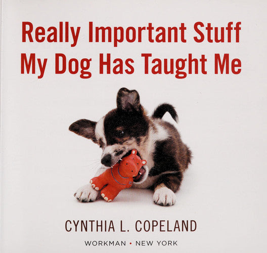 Really Important Stuff My Dog Has Taught Me