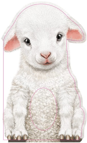 Furry Lamb: A Mini Touch and Feel Book for Babies and Newborns (Sweet Shower Gift, Sensory Baby Animals Book) (Mini Friends Touch & Feel Books)