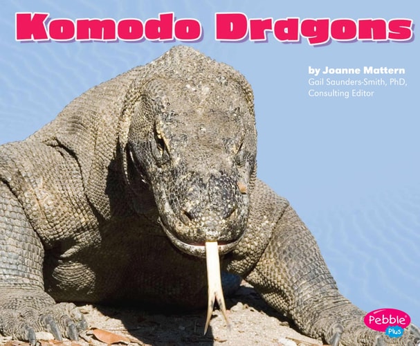 Komodo Dragons (Pebble Plus: Reptiles)