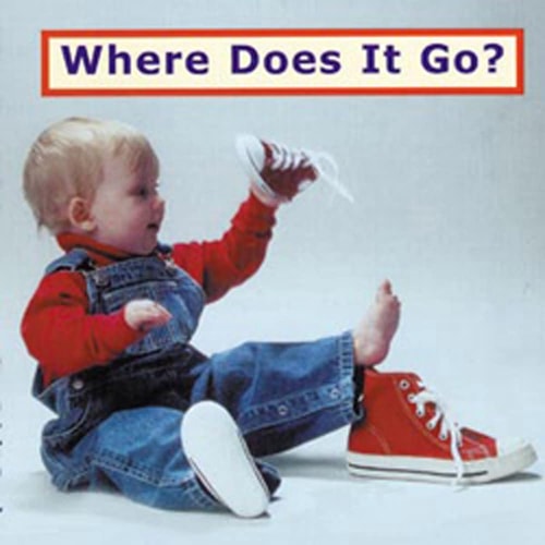 Where Does It Go? (Photoflaps)