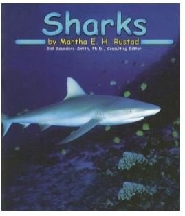 Sharks [Scholastic] (Ocean Life)