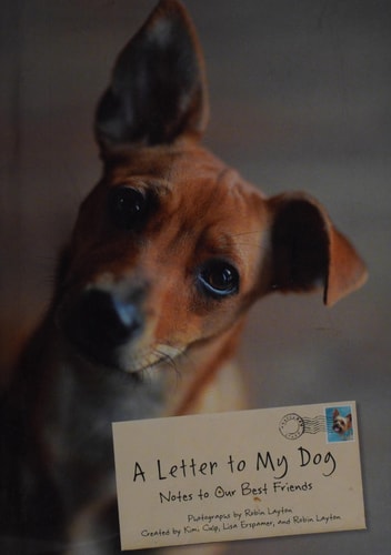 A Letter to My Dog: Notes to Our Best Friends
