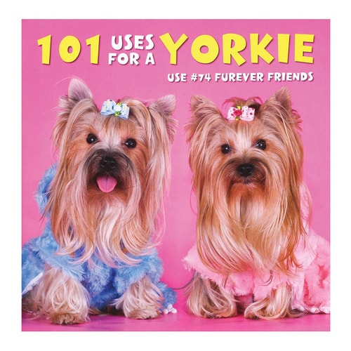 101 Uses For a Yorkie