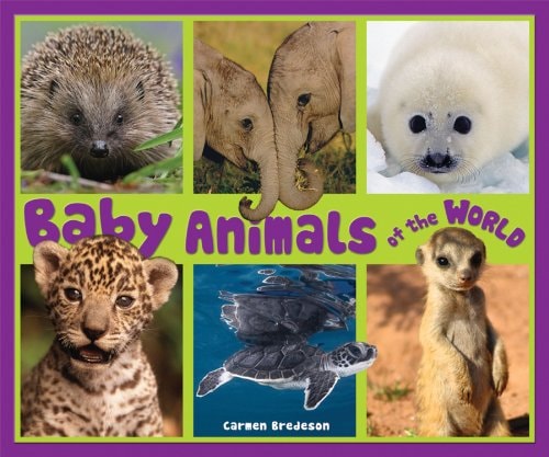 Baby Animals of the World (Nature's Baby Animals)