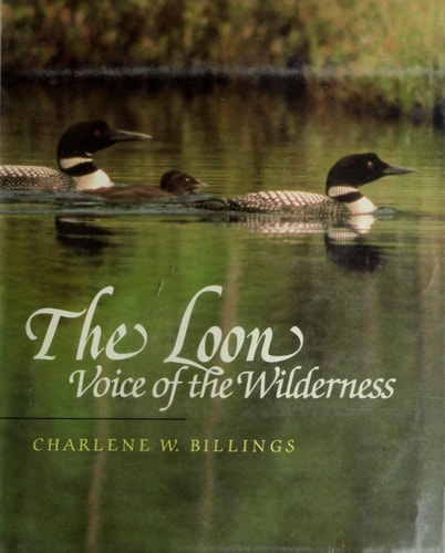 The Loon: Voice of the Wilderness (Skylight Book)
