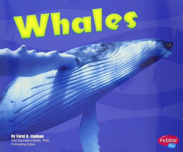 Whales [Scholastic] (Under the Sea)