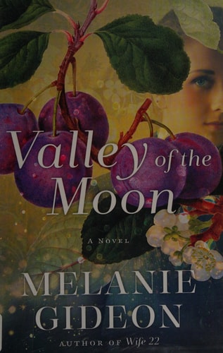 Valley of the Moon: A Novel