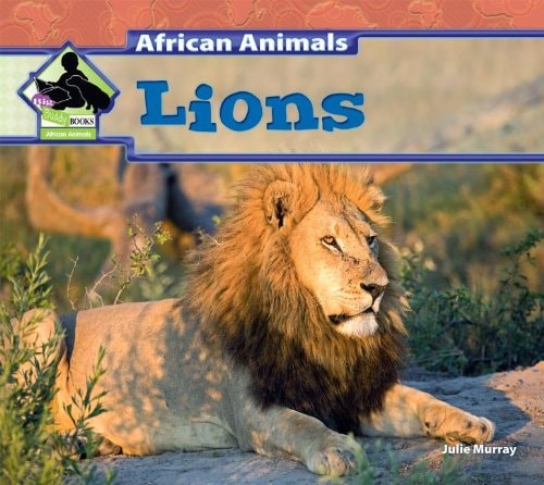 Lions (African Animals)