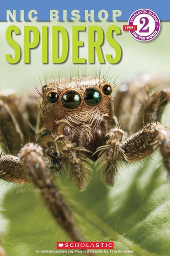 Spiders (Scholastic Reader, Level 2: Nic Bishop #2)