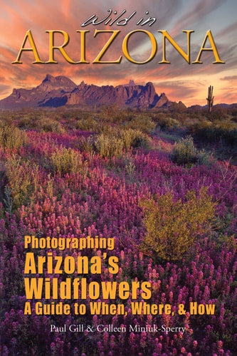 Wild in Arizona: Photographing Arizona's Wildflowers, A Guide to When, Where, and How