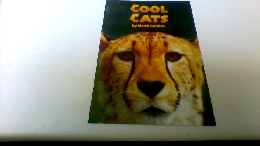 Cool Cats