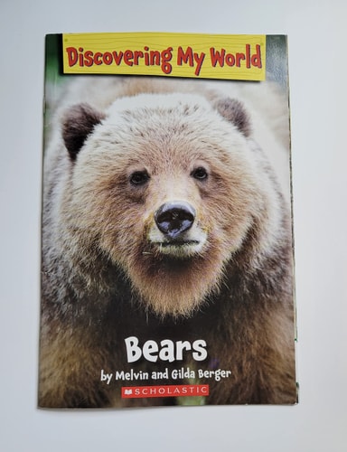 Discovering My World: Bears