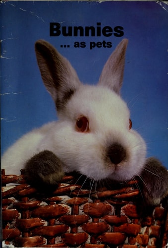 Bunnies As Pets