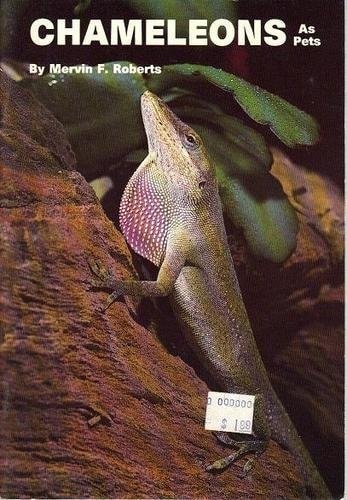 Chameleons as Pets