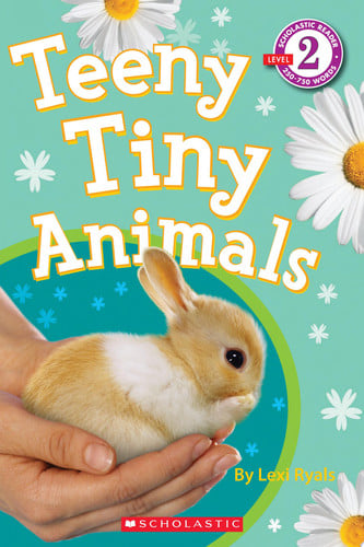 Teeny Tiny Animals