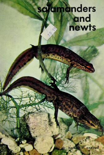 Salamanders and Newts