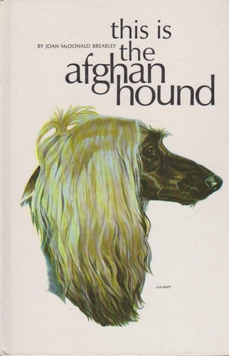 This Is the Afghan Hound