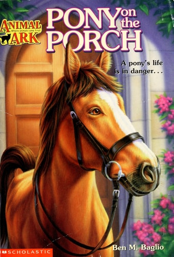 Pony on the Porch (Animal Ark Series #2)