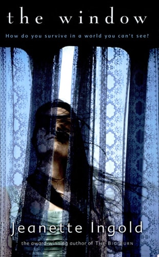 The Window