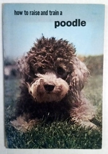 Poodle (How to Raise & Train)