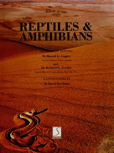 Reptiles And Amphibians