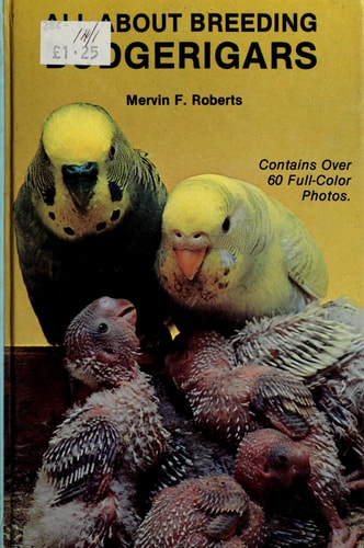 All about breeding budgerigars