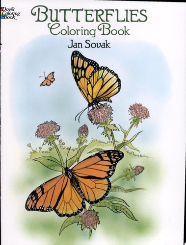 Butterflies Coloring Book