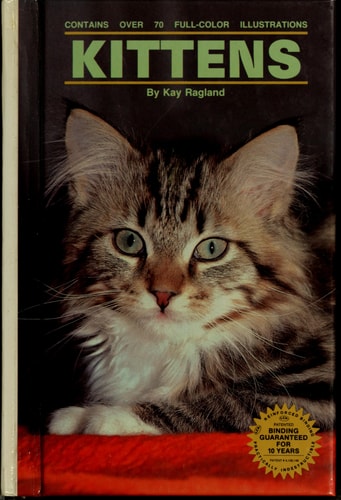 Kittens