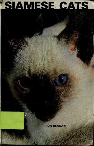Siamese Cats