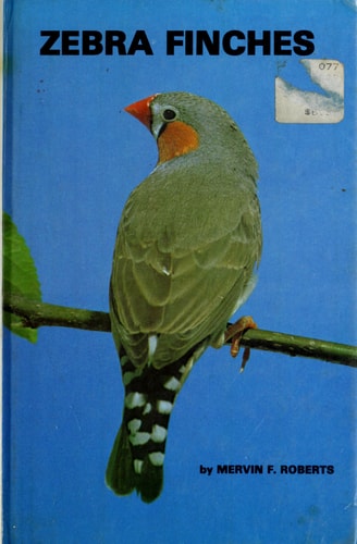 Zebra Finches