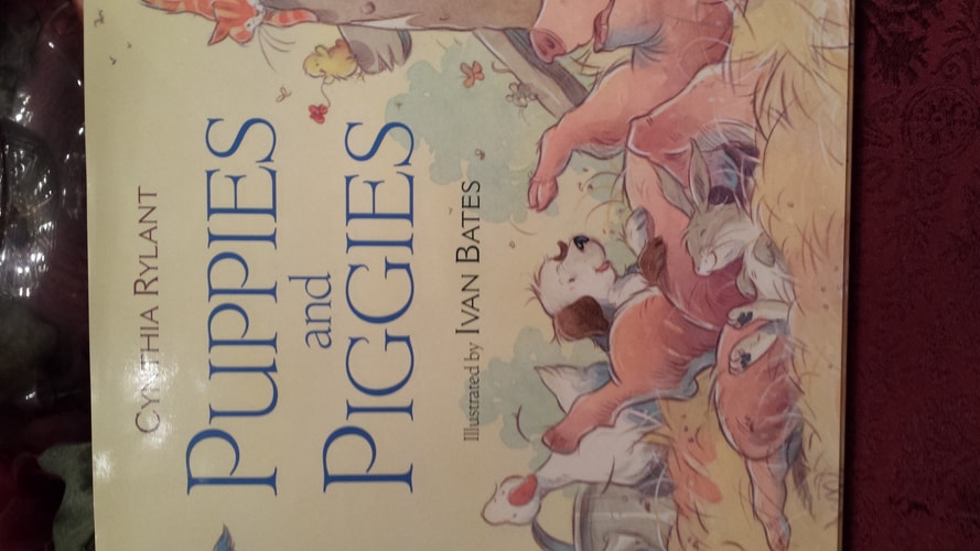 Puppies and Piggies