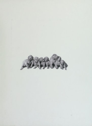 William Wegman Puppies