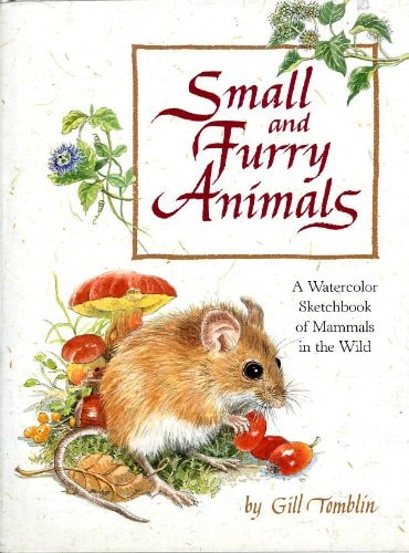 Small And Furry Animals