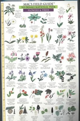 Mac's Field Guides to Denali National Park (Flowers and Trees/Birds and Mammals)