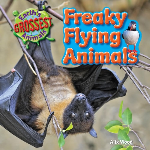 Freaky Flying Animals (Earth's Grossest Animals)