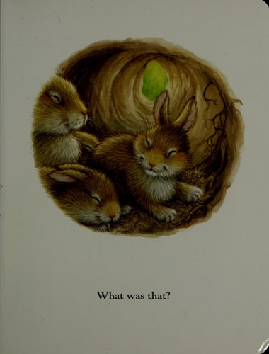 Bunny's Noisy Book