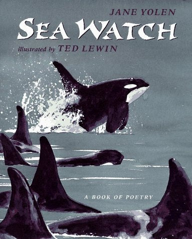 Sea Watch