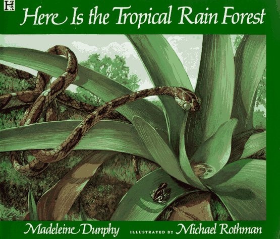 Here is the Tropical Rainforest